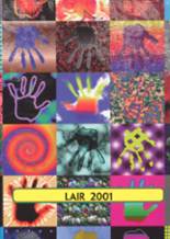 2001 Panhandle High School Yearbook from Panhandle, Texas cover image
