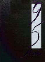 1995 Andover Central High School Yearbook from Andover, New York cover image
