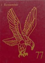 1977 Deckerville High School Yearbook from Deckerville, Michigan cover image