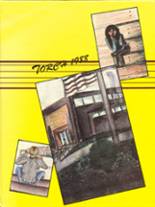 Bristol Central High School 1988 yearbook cover photo