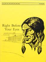 Savannah High School 1989 yearbook cover photo
