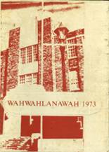 Benton High School 1973 yearbook cover photo