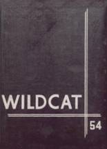 New London-Spicer High School 1954 yearbook cover photo