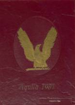 Niceville High School 1981 yearbook cover photo