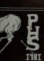 Paisley High School 1981 yearbook cover photo