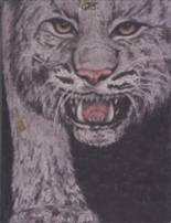 1986 El Dorado High School Yearbook from El dorado, Arkansas cover image