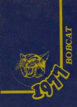 Somonauk High School 1977 yearbook cover photo