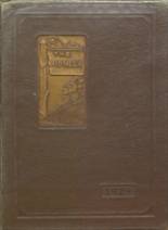 1929 Dearborn High School Yearbook from Dearborn, Michigan cover image