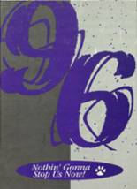 1996 Albany High School Yearbook from Albany, Minnesota cover image