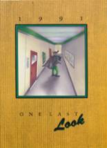 1991 Greenup County High School Yearbook from Greenup, Kentucky cover image