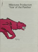 Norfolk High School 1986 yearbook cover photo