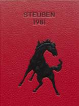Steubenville High School 1981 yearbook cover photo
