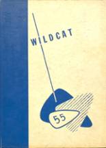 Willow River High School 1955 yearbook cover photo