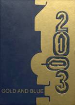 Mitchell High School 2003 yearbook cover photo