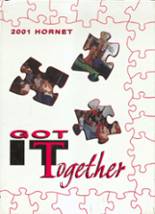 2001 Blevins High School Yearbook from Blevins, Arkansas cover image