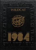 New London-Spicer High School 1984 yearbook cover photo