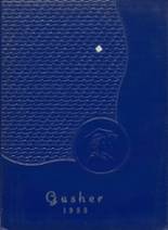 1955 Bolivar Central School  Yearbook from Bolivar, New York cover image