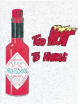 1994 Sauk Prairie High School Yearbook from Prairie du sac, Wisconsin cover image