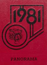 Luverne High School 1981 yearbook cover photo