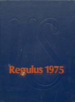 1975 Newton South High School Yearbook from Newton center, Massachusetts cover image