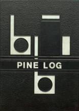 Pine Island High School 1966 yearbook cover photo