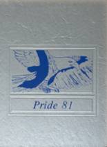 Sand Point High School 1981 yearbook cover photo