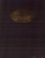 1923 Wilson High School Yearbook from Portsmouth, Virginia cover image