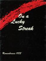 1988 Algonac High School Yearbook from Algonac, Michigan cover image