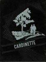 1960 Clarkfield High School Yearbook from Clarkfield, Minnesota cover image