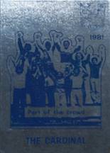 Nelson County High School 1981 yearbook cover photo