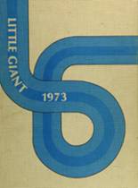 1973 Highland Park High School Yearbook from Highland park, Illinois cover image