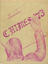 Cathedral High School 1973 yearbook cover photo