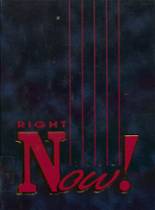 Norton High School 1994 yearbook cover photo
