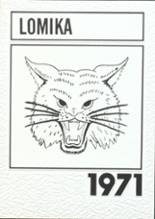 Louisburg High School 1971 yearbook cover photo