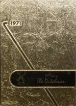 1971 Owensville High School Yearbook from Owensville, Missouri cover image