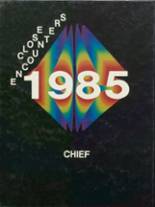 Meredosia Chambersburg High School 1985 yearbook cover photo
