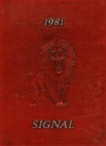 Central High School 1981 yearbook cover photo