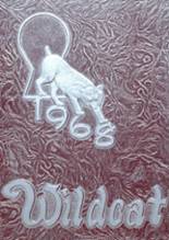 Littlefield High School 1968 yearbook cover photo