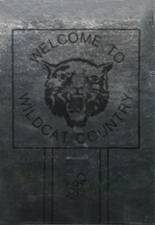 Archer City High School 1980 yearbook cover photo