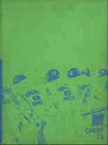 Prospect High School 1973 yearbook cover photo