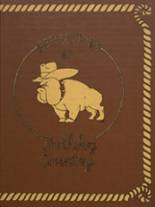 1981 Mediapolis High School Yearbook from Mediapolis, Iowa cover image
