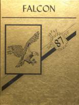 1987 Brownsville High School Yearbook from Brownsville, Pennsylvania cover image