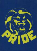 Lincoln Park High School 1981 yearbook cover photo