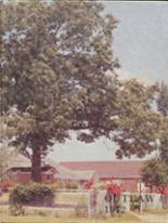 Dierks High School 1972 yearbook cover photo