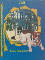 Beacon High School 1981 yearbook cover photo