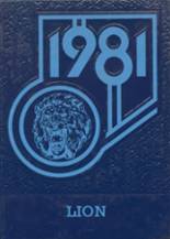 1981 Minneapolis High School Yearbook from Minneapolis, Kansas cover image