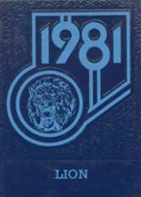 Minneapolis High School 1981 yearbook cover photo