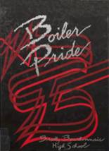 1995 Bradley-Bourbonnais High School Yearbook from Bradley, Illinois cover image