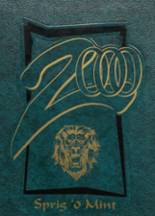 Bremen High School 2000 yearbook cover photo