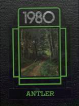Deer Park High School 1980 yearbook cover photo